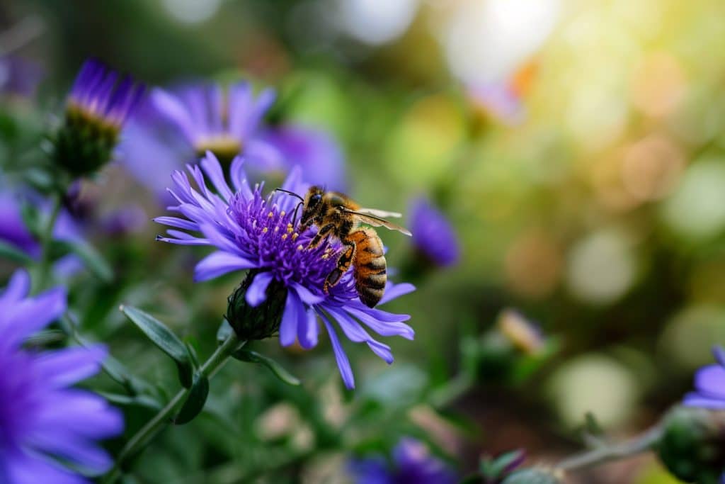 Comment créer un jardin favorable aux abeilles et insectes pollinisateurs : guide complet